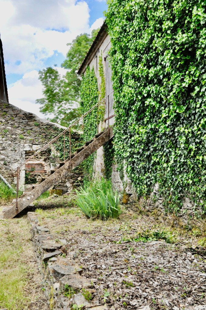 Cour du gîte Le Bois des Moines